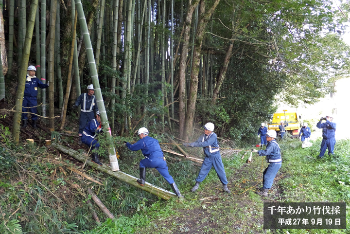 千年あかり竹伐採ボランティア